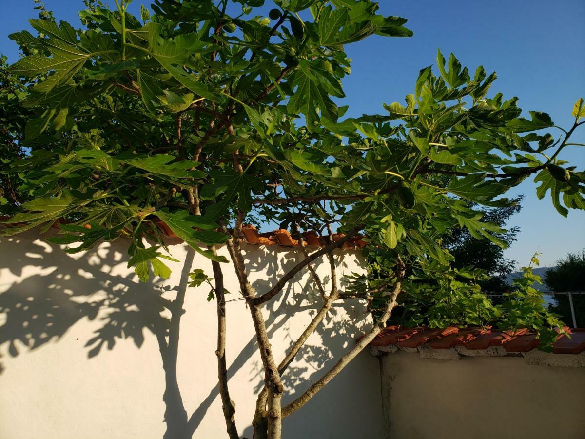Guest House Evtimov พรีมอร์สโก ภายนอก รูปภาพ
